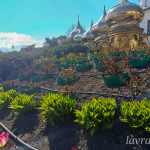 photo_3_2026-04-21_16-22-49