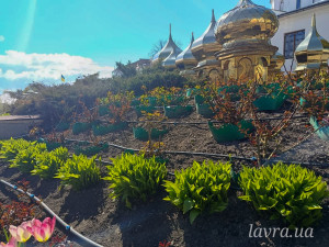 photo_3_2026-04-21_16-22-49