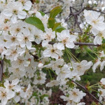 photo_3_2026-04-25_12-32-56