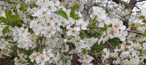 photo_3_2026-04-25_12-32-56