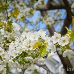 photo_4_2026-04-21_16-14-04