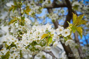 photo_4_2026-04-21_16-14-04