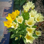 photo_4_2026-04-21_16-22-49