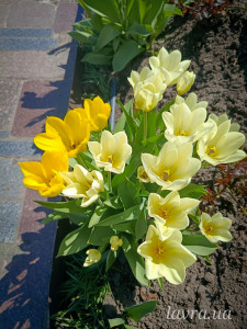 photo_4_2026-04-21_16-22-49