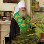 photo_5_2026-04-05_13-08-44