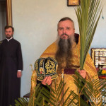 photo_6_2026-04-05_13-08-44