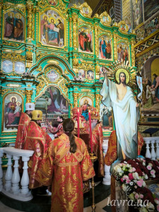 photo_6_2026-04-17_14-34-35