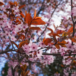photo_6_2026-04-21_16-14-04