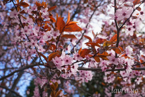 photo_6_2026-04-21_16-14-04