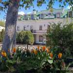 photo_6_2026-04-21_16-22-49