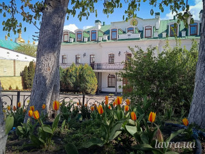 photo_6_2026-04-21_16-22-49