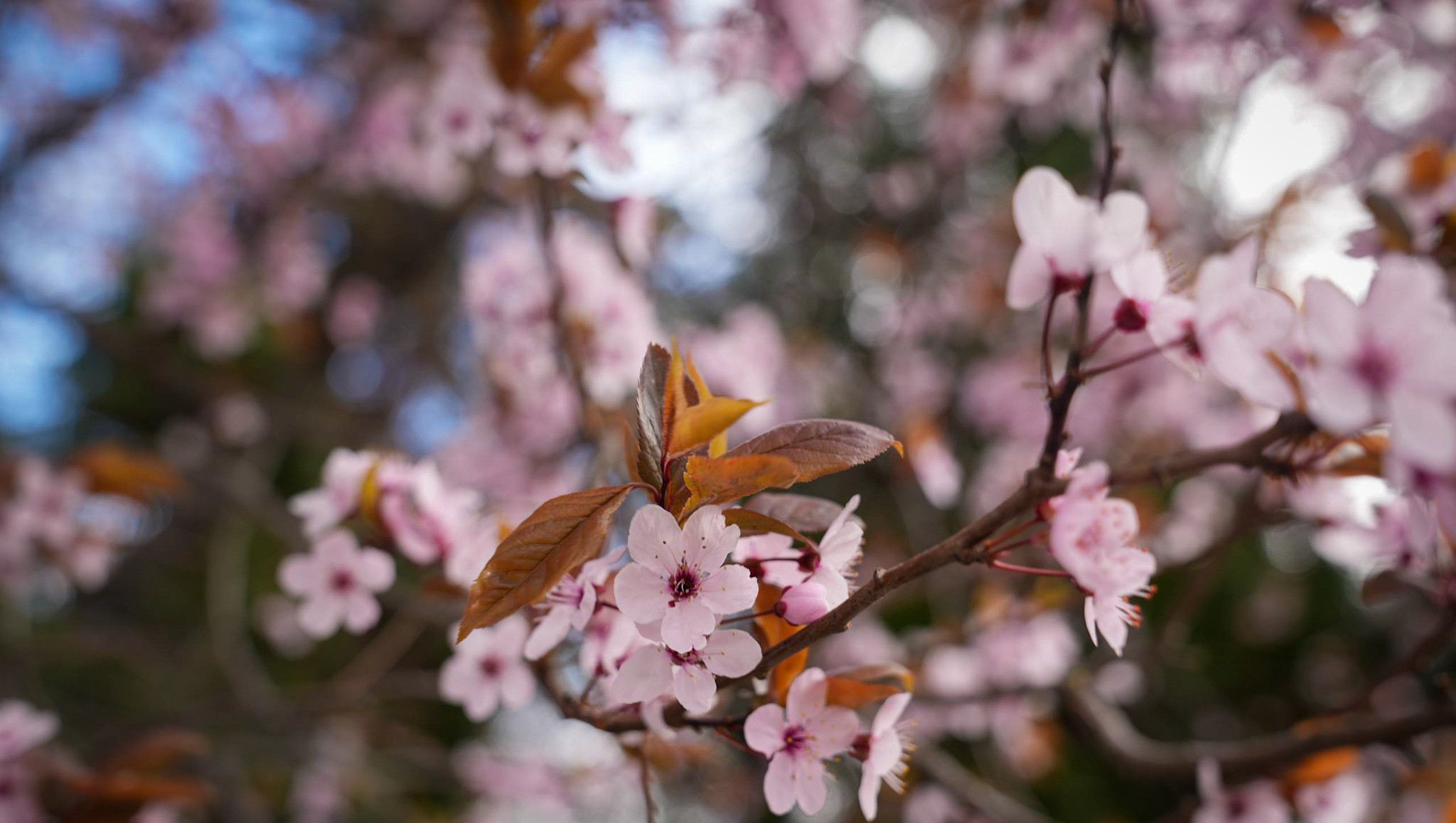 photo_7_2026-04-21_16-14-04