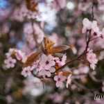 photo_7_2026-04-21_16-14-04