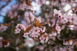 photo_7_2026-04-21_16-14-04
