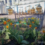 photo_7_2026-04-21_16-22-49