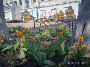 photo_7_2026-04-21_16-22-49