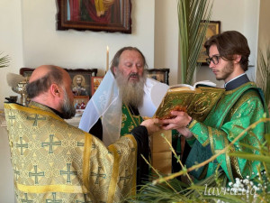 photo_8_2026-04-05_13-08-44