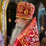 photo_8_2026-04-17_14-46-00