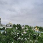 IMG_20260528_094926_379