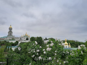 IMG_20260528_094926_379