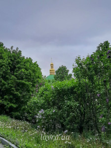 IMG_20260528_094932_961