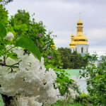 IMG_20260528_095046_299