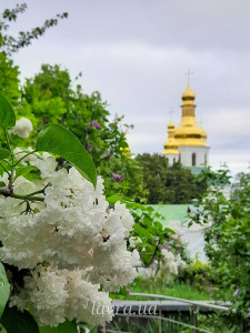 IMG_20260528_095046_299