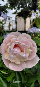 IMG_20260528_095104_113