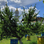 IMG_20260528_095134_731