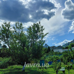 IMG_20260528_095141_672
