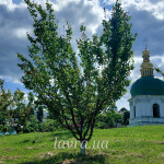 IMG_20260528_095151_284